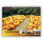 2027 Country Spirit wall Calendar