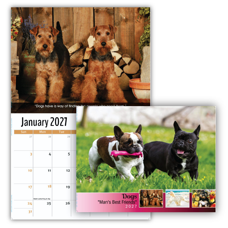 2027 Dogs wall calendar