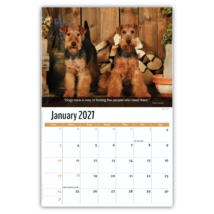 2027 Dogs wall calendar