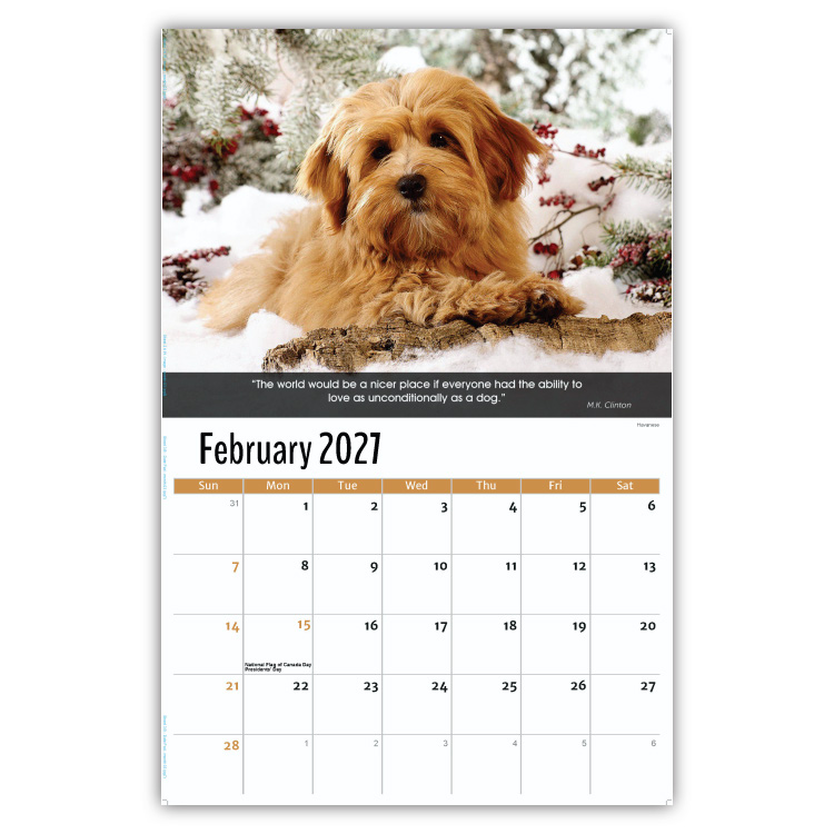 2027 Dogs wall calendar