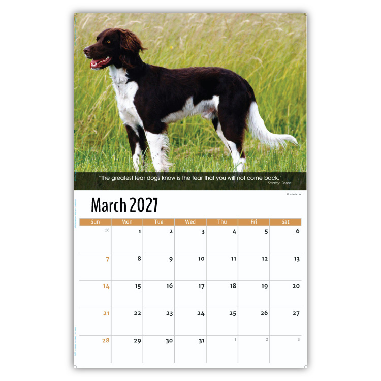 2027 Dogs wall calendar