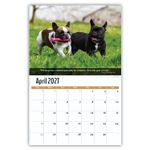 2027 Dogs wall calendar