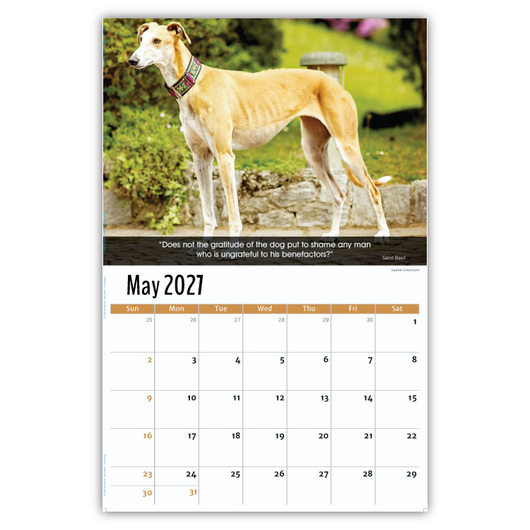 2027 Dogs wall calendar