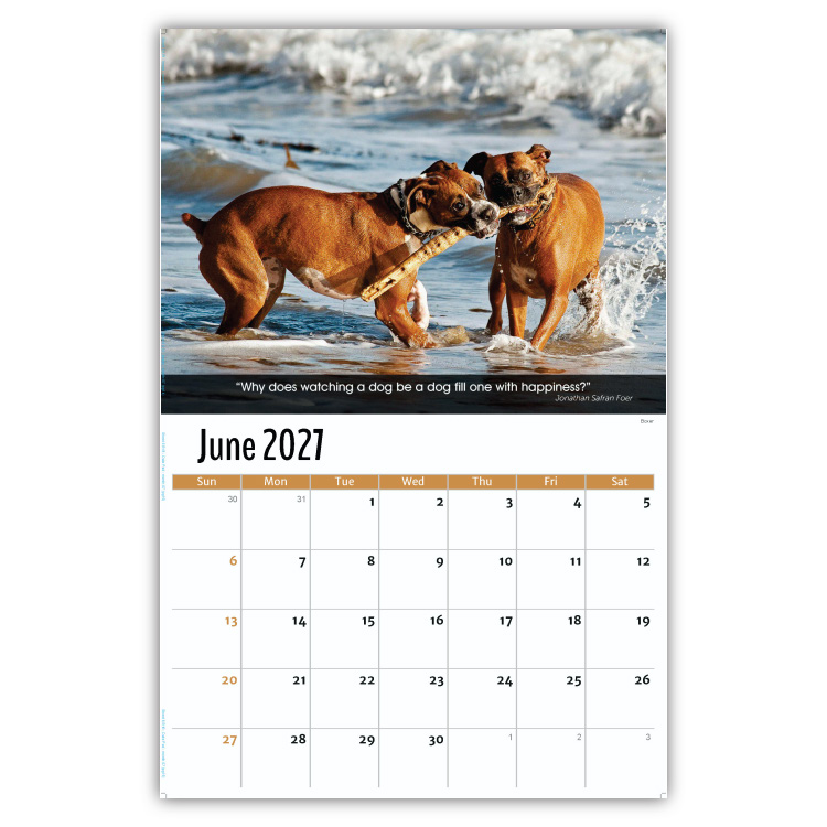 2027 Dogs wall calendar