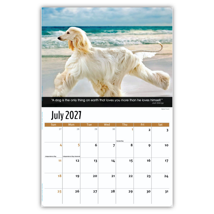 2027 Dogs wall calendar
