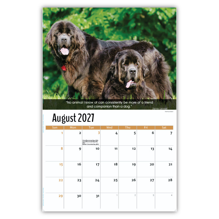 2027 Dogs wall calendar