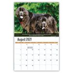 2027 Dogs wall calendar