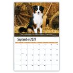 2027 Dogs wall calendar