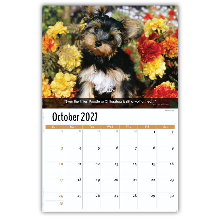 2027 Dogs wall calendar