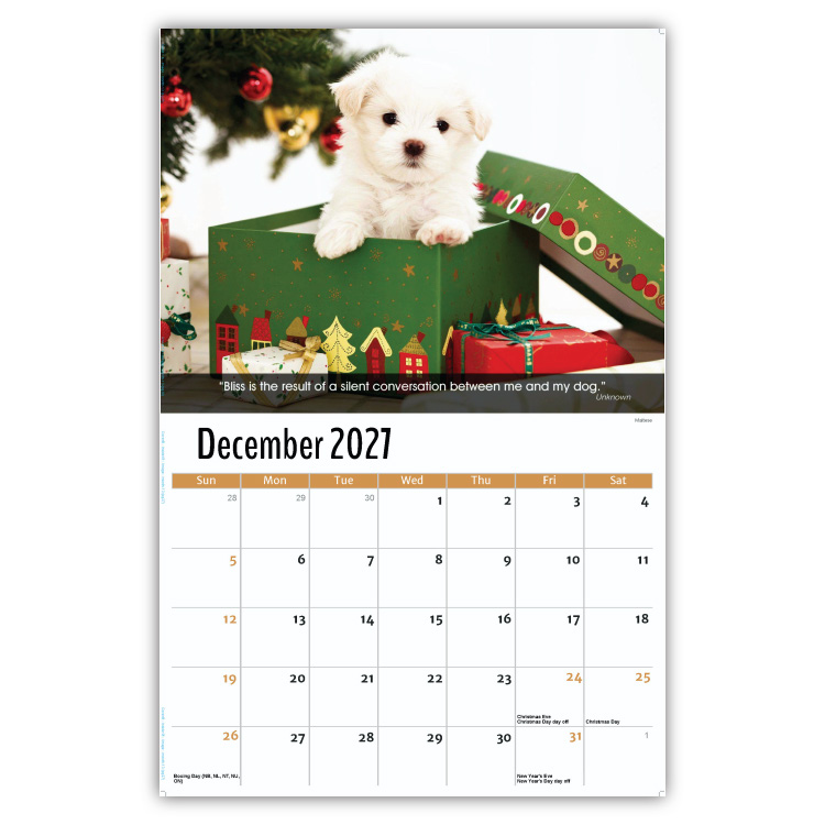 2027 Dogs wall calendar