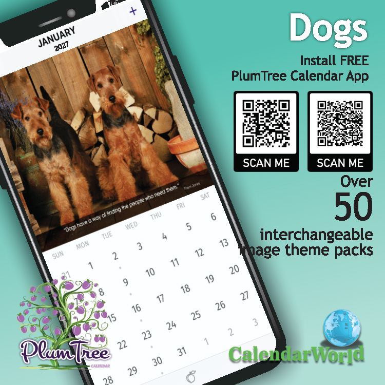 2027 Dogs wall calendar