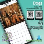 2027 Dogs wall calendar