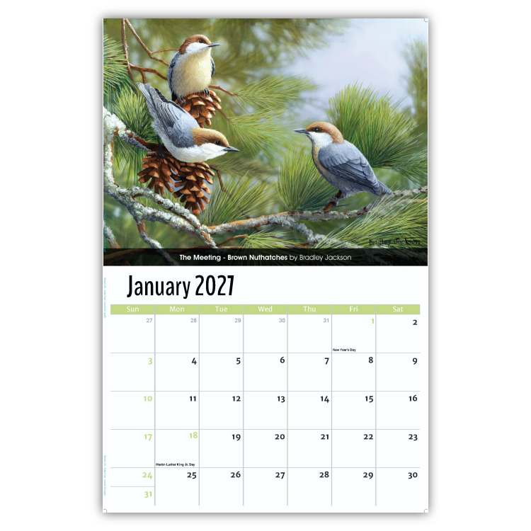 2027 Garden Birds wall calendar
