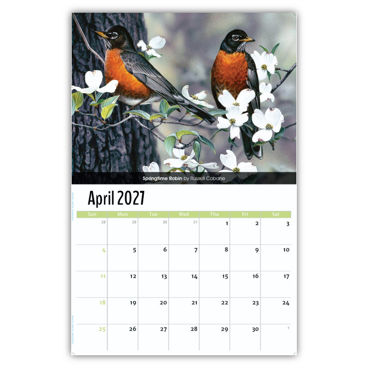 2027 Garden Birds wall calendar