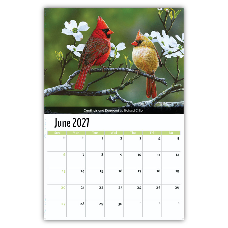 2027 Garden Birds wall calendar