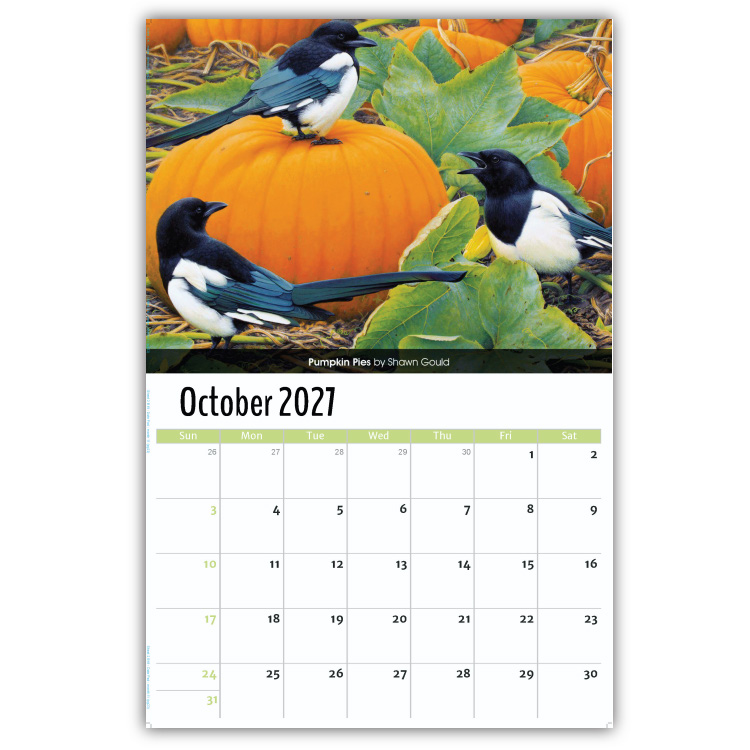 2027 Garden Birds wall calendar