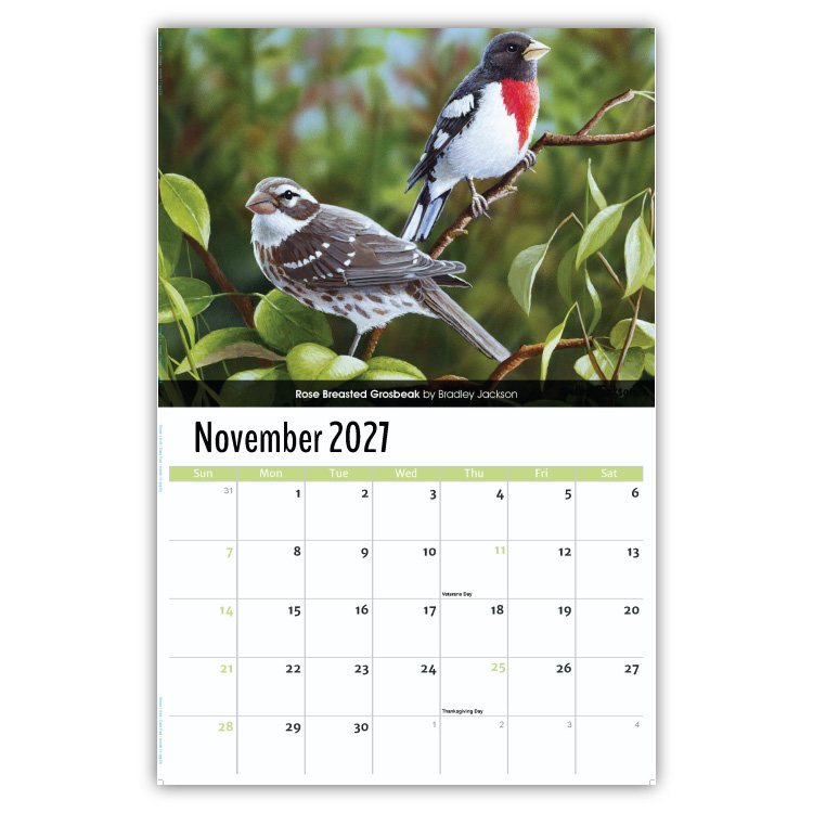 2027 Garden Birds wall calendar