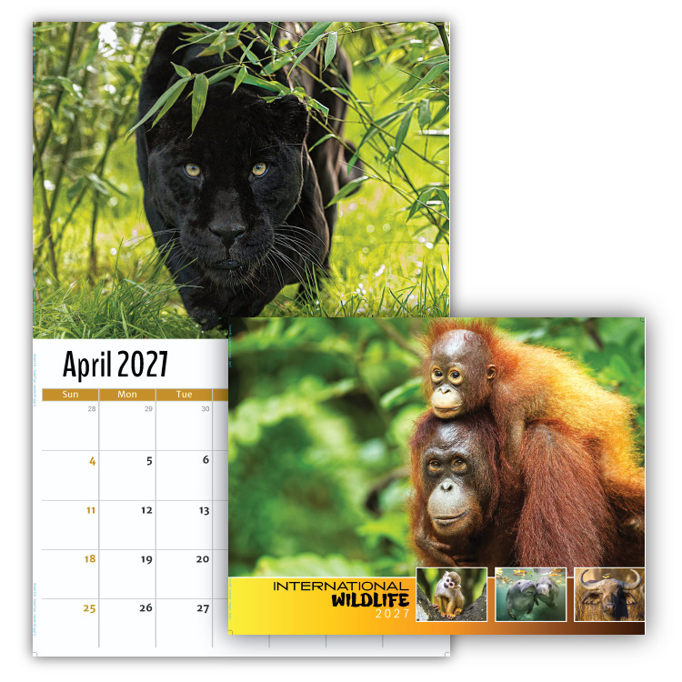2027 International Wildlife wall calendar