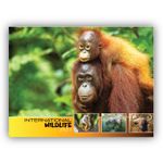 2027 International Wildlife wall calendar