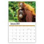 2027 International Wildlife wall calendar