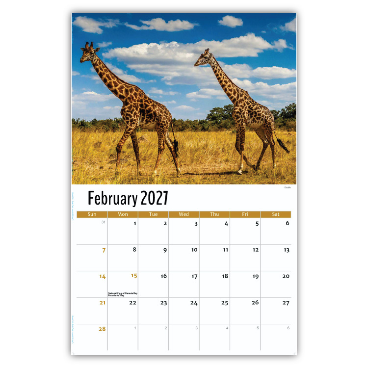 2027 International Wildlife wall calendar