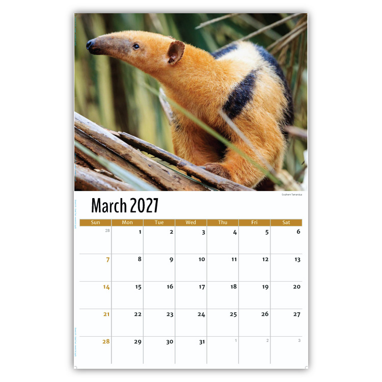 2027 International Wildlife wall calendar