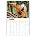 2027 International Wildlife wall calendar