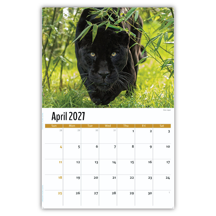 2027 International Wildlife wall calendar