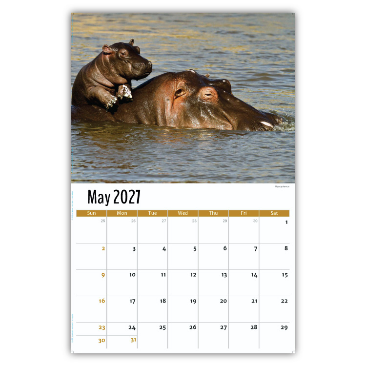 2027 International Wildlife wall calendar