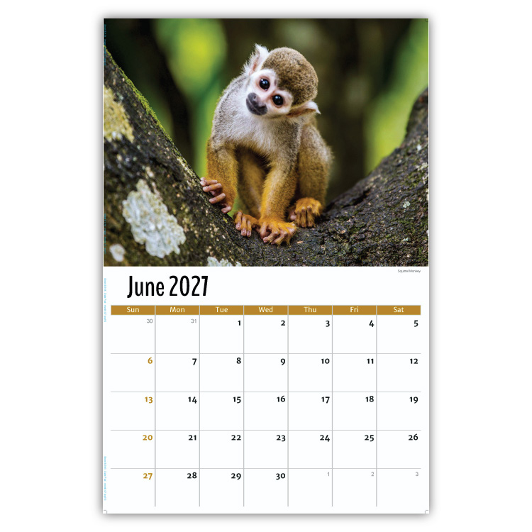 2027 International Wildlife wall calendar