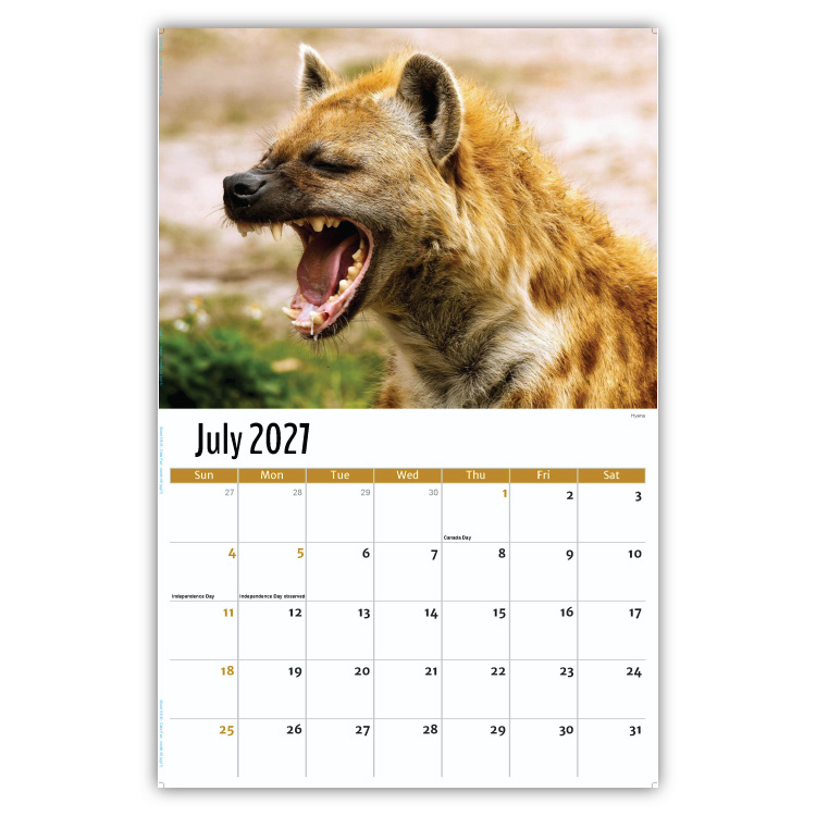 2027 International Wildlife wall calendar