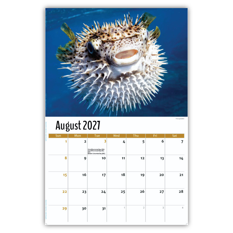 2027 International Wildlife wall calendar