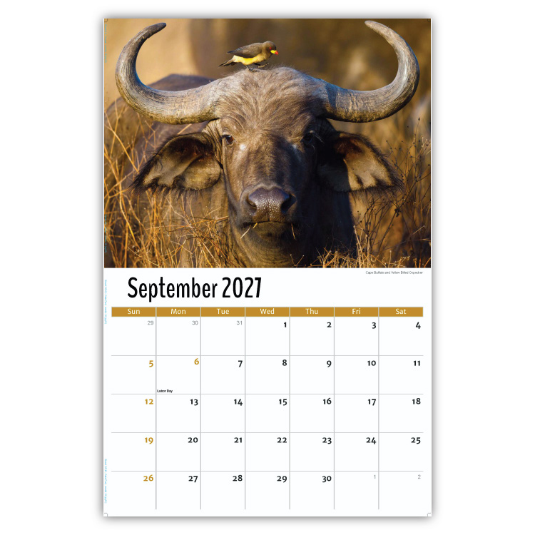 2027 International Wildlife wall calendar
