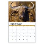 2027 International Wildlife wall calendar