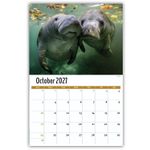 2027 International Wildlife wall calendar