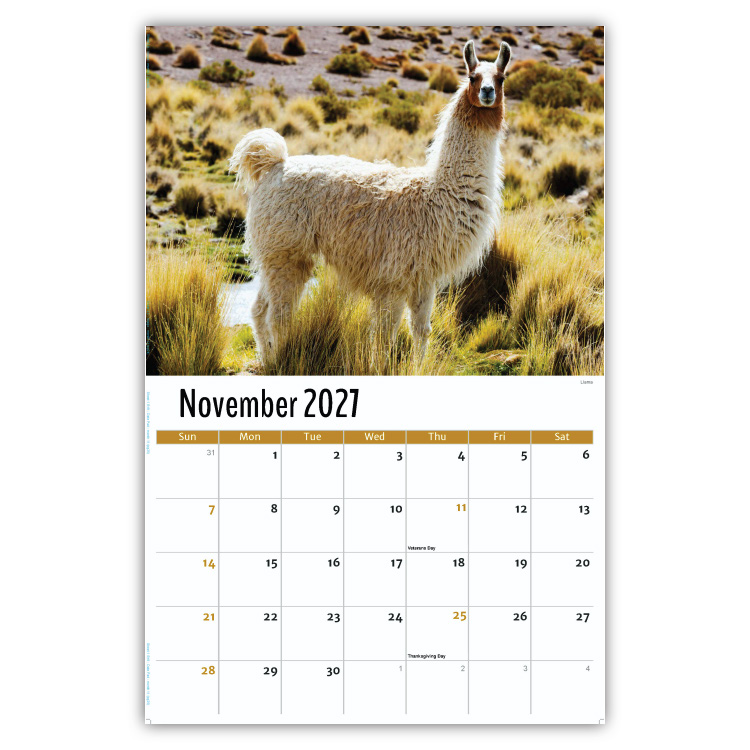 2027 International Wildlife wall calendar