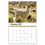 2027 International Wildlife wall calendar