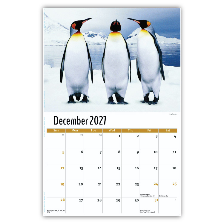 2027 International Wildlife wall calendar