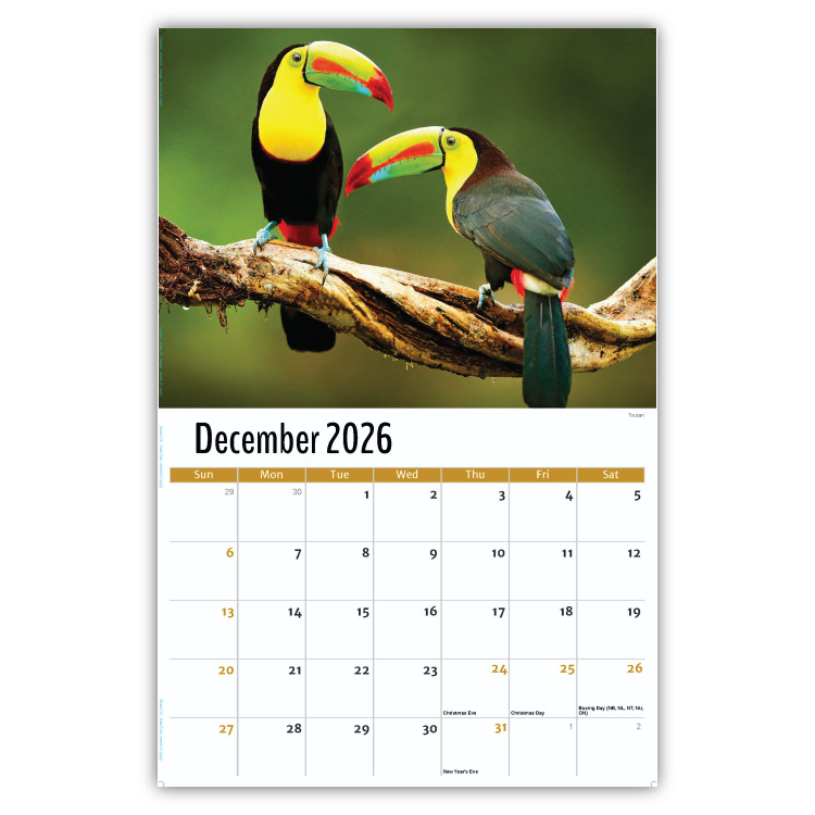 2027 International Wildlife wall calendar