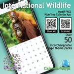 2027 International Wildlife wall calendar