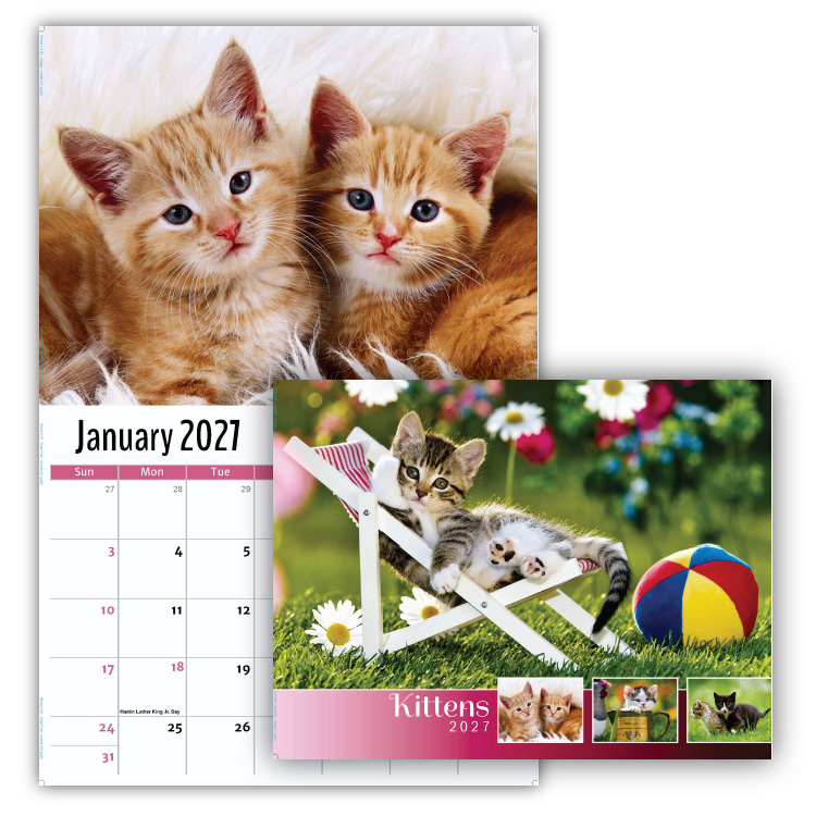 2027 Kittens wall calendar