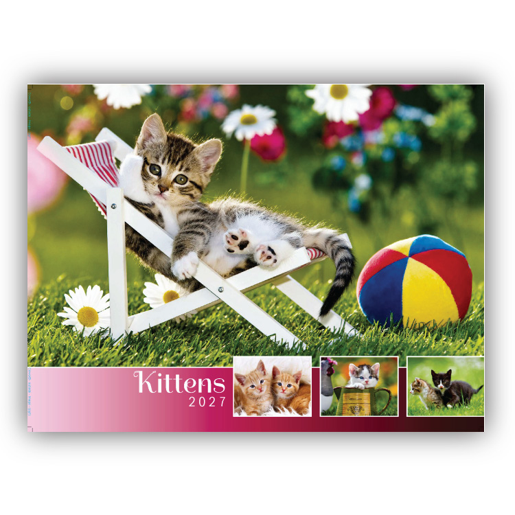 2027 Kittens wall calendar