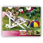 2027 Kittens wall calendar