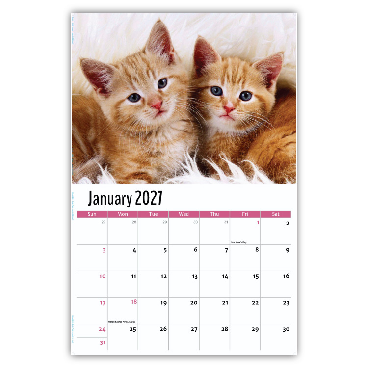 2027 Kittens wall calendar