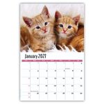 2027 Kittens wall calendar