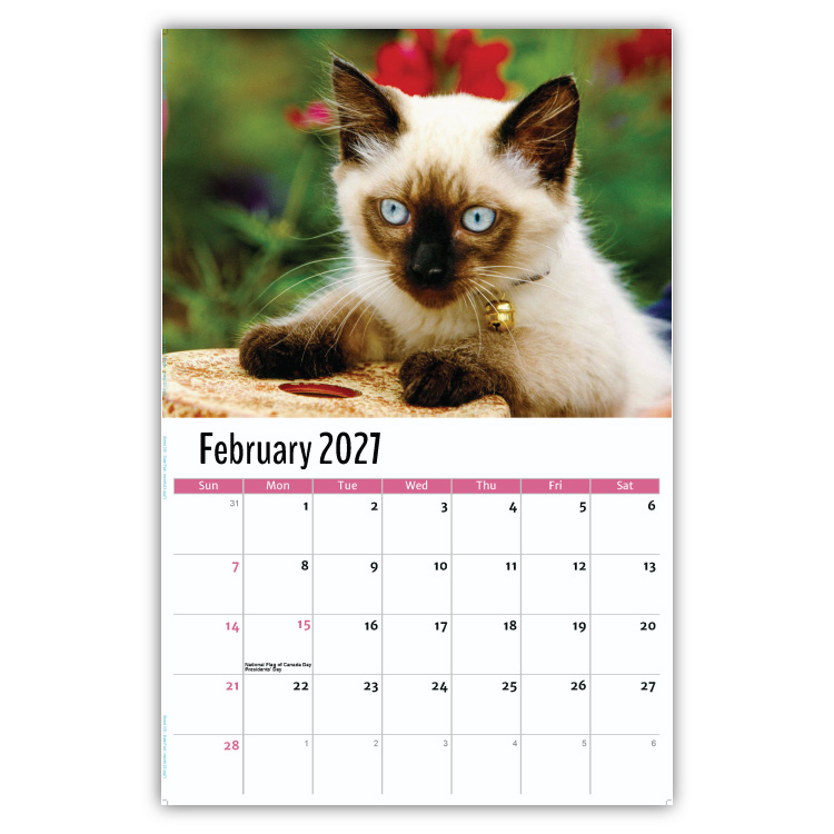 2027 Kittens wall calendar