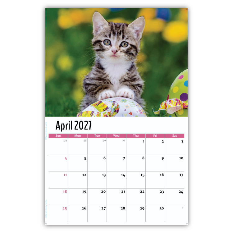 2027 Kittens wall calendar