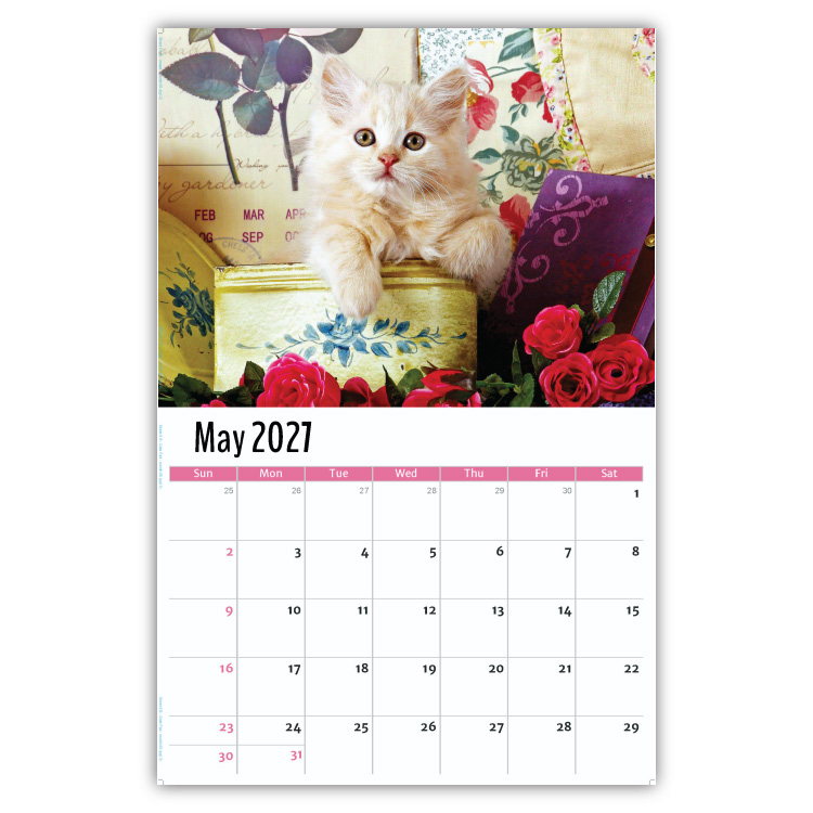 2027 Kittens wall calendar