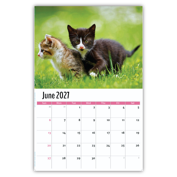 2027 Kittens wall calendar