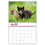2027 Kittens wall calendar